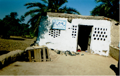 One-room One-teacher Home School in an Abandoned Barn, near Multan, managed by ROSHNI